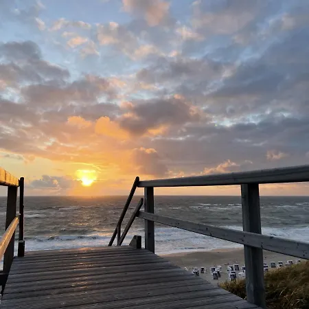 Seeschwalbe * Sylt